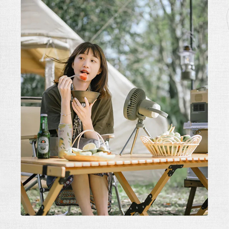 Naturehike Outdoor Portable Electric Fan Tent Light Rechargeable Camping Campsite Lights Lighting Fan Light