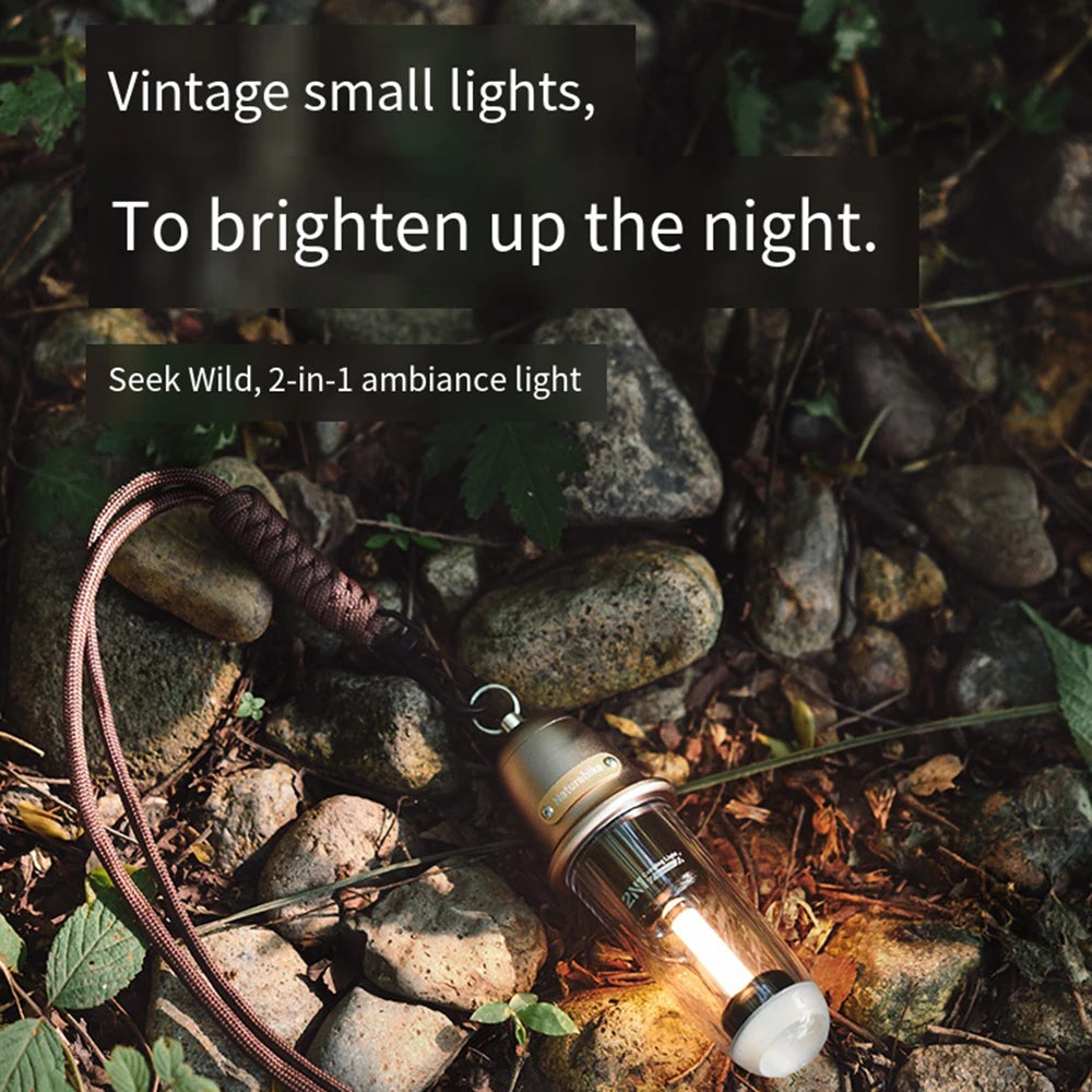 Naturehike Outdoor Portable Camping Light Portable Charging Lighting Camping Atmosphere Light CNK2350ZM010 Camping Accessories