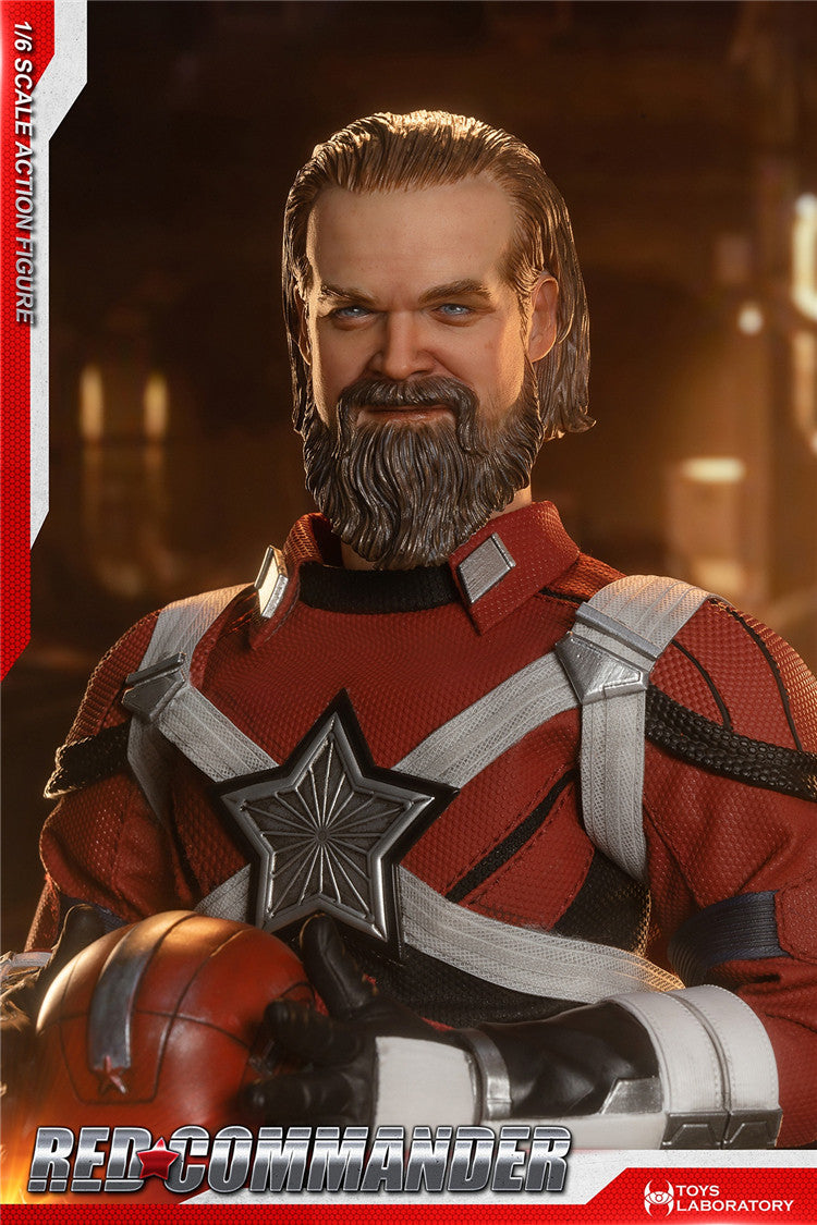TOYS LABORATORY 1/6 Red Guard Commander Articulated Figure TL001