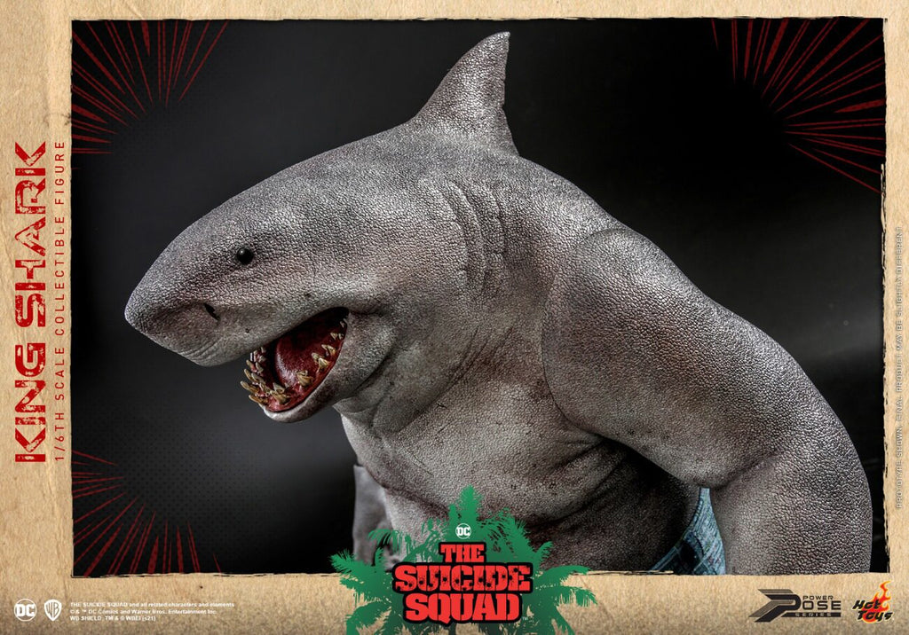 HOTTOYS HT 1/6 Task Force: King Shark Nanawi Semi-Artificial Action Figure PPS006