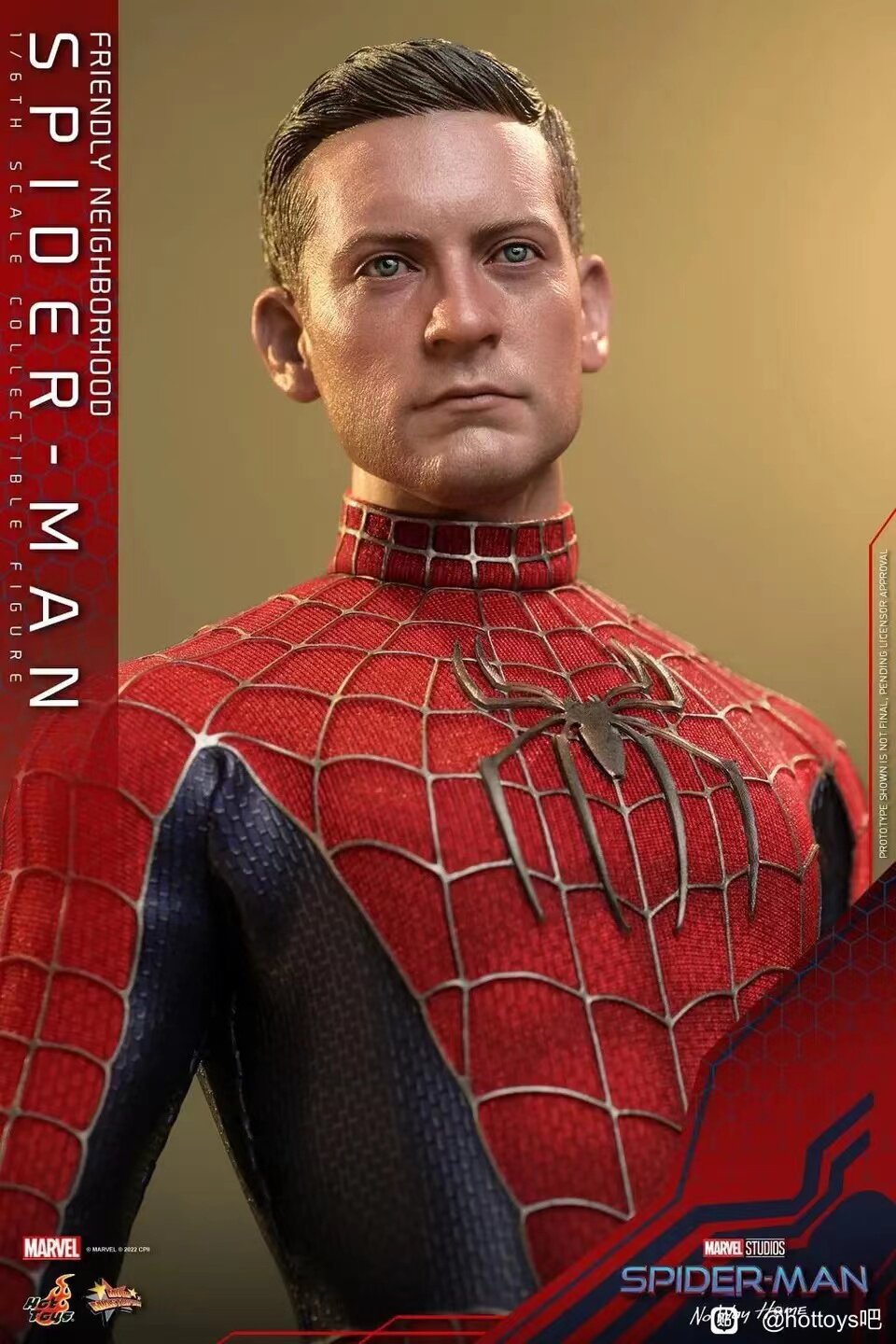 HOTTOYS 1/6 Spider-Man: No Way Back Toby 2.0 MMS662 Articulated Figure