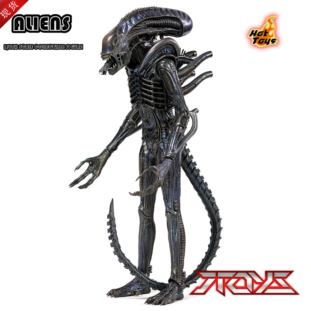 HT Hottoys 1/6 MMS354 Alien 2: Predator - Battle Alien 2.0