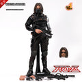 HotToys HT 1/6 Captain America 2 Winter Soldier Villain Winter Soldier (1.0)MMS241 Action Figure