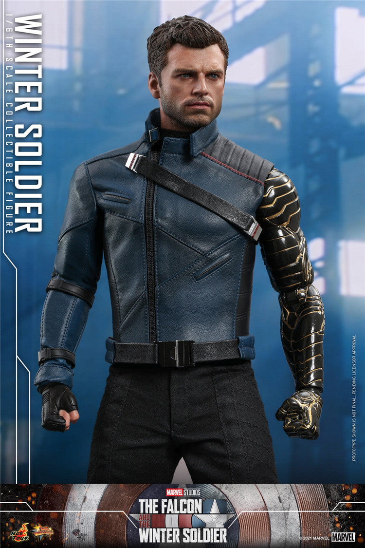 HOTTOYS 1/6 Falcon & Winter Soldier Bucky Bucky Winter Soldier Figure TMS039
