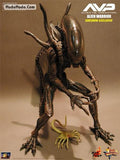 HOTTOYS Movie Iron-Blooded PREDATOR Alien Battle AVP Warrior MMS29 Action Figure