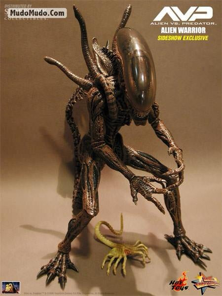HOTTOYS Movie Iron-Blooded PREDATOR Alien Battle AVP Warrior MMS29 Action Figure