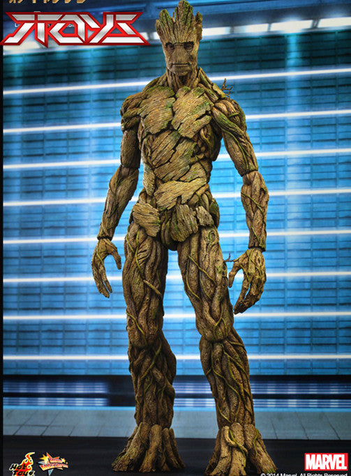 Hottoys HT Guardians of the Galaxy Groot 1/6 single suit GROOT  action figures