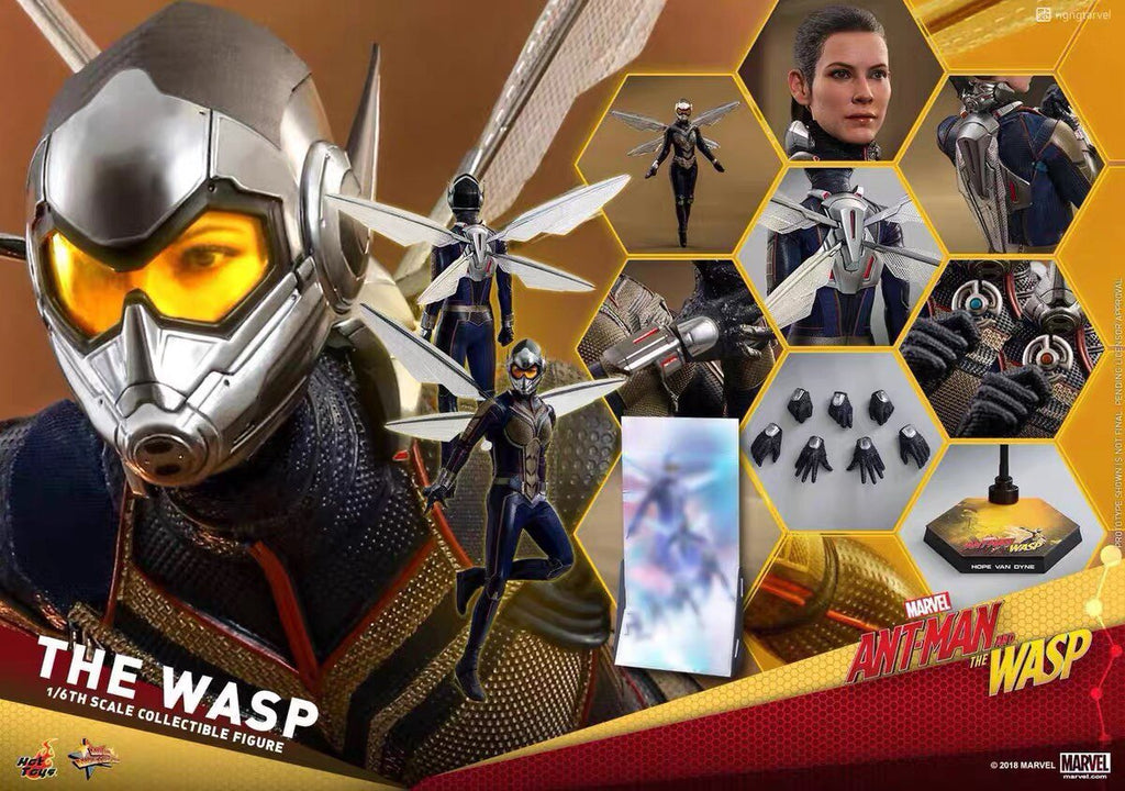 HotToys 1/6 MMS498 "Ant-Man and the Wasp" - Wasp / Wasp action figure