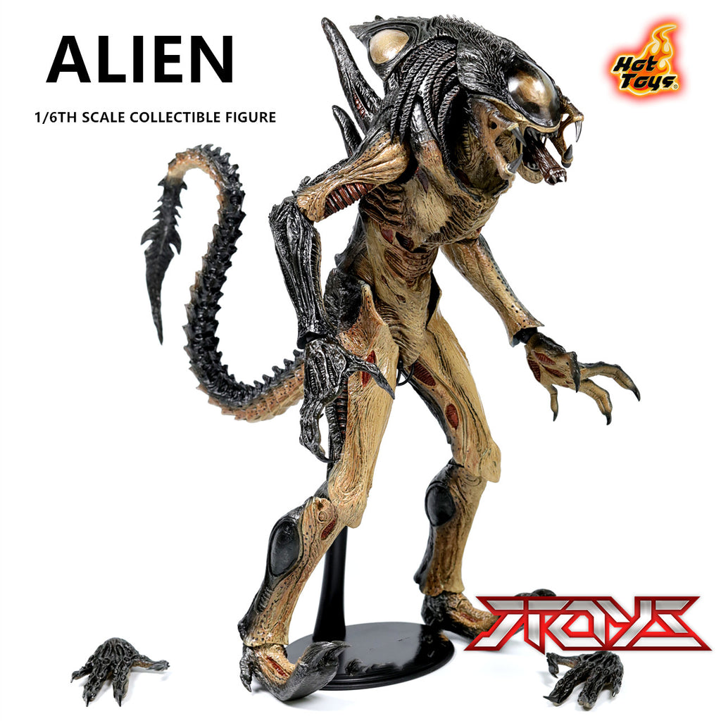 HT MMS055 AVP2 1/6 hybrid alien iron-blooded alien movable figure