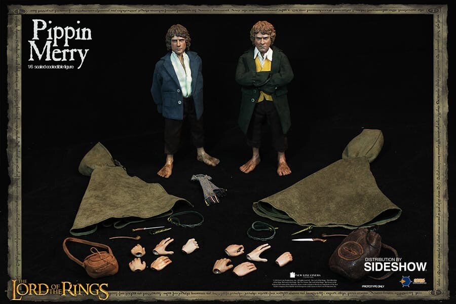 Asmus Lord of the Rings Lord of the Rings 1/6 PIPPIN MERRY suit dwarf limited movable figure