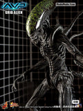 MMS028 1/6 Alien vs. Predator 1 Green Grid Alien Limited Edition Action Figure