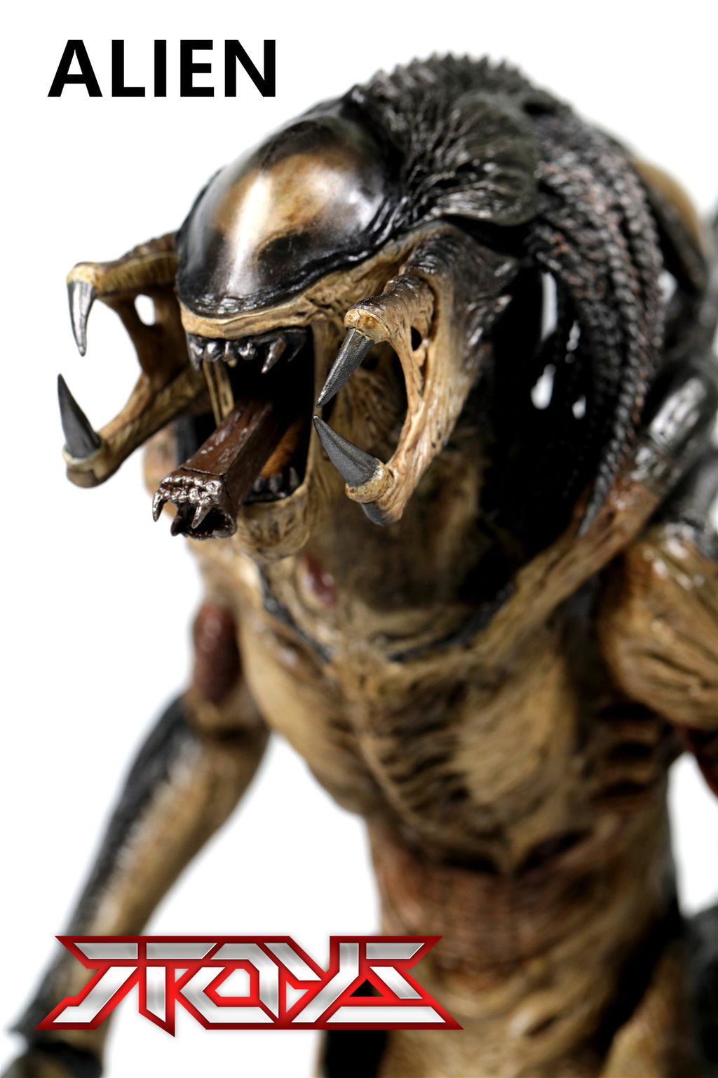 HT MMS055 AVP2 1/6 hybrid alien iron-blooded alien movable figure
