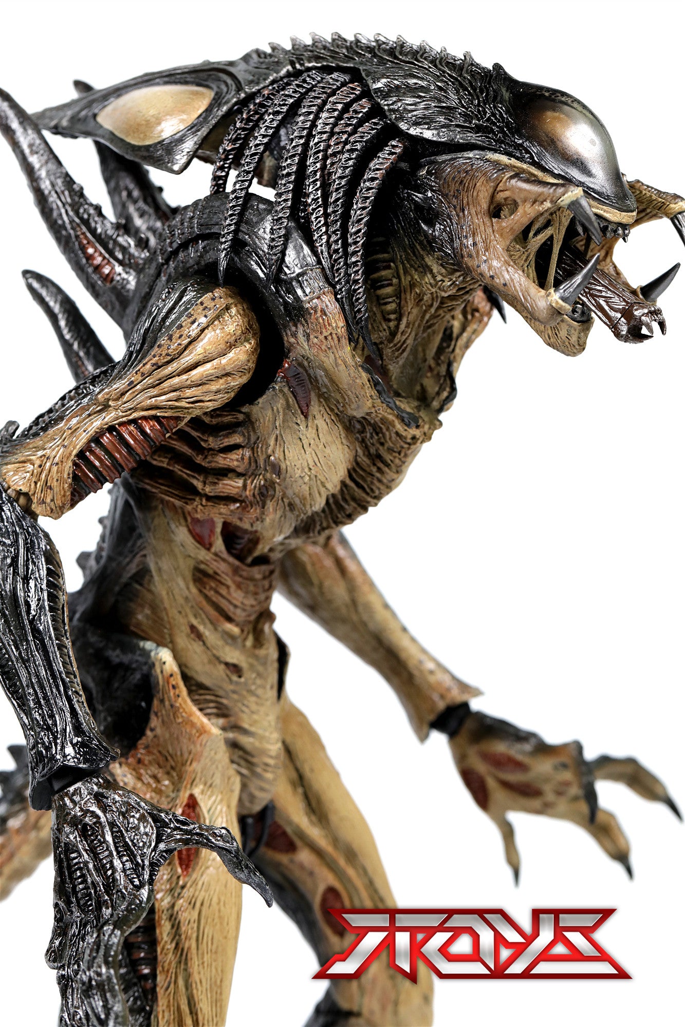 HT MMS055 AVP2 1/6 hybrid alien iron-blooded alien movable figure