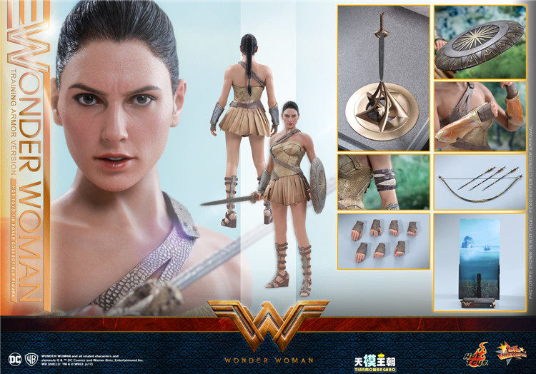 HOTTOYS HT 1/6 MMS424 Wonder Woman 2.0 Training Armor Version Gadot Action Figure