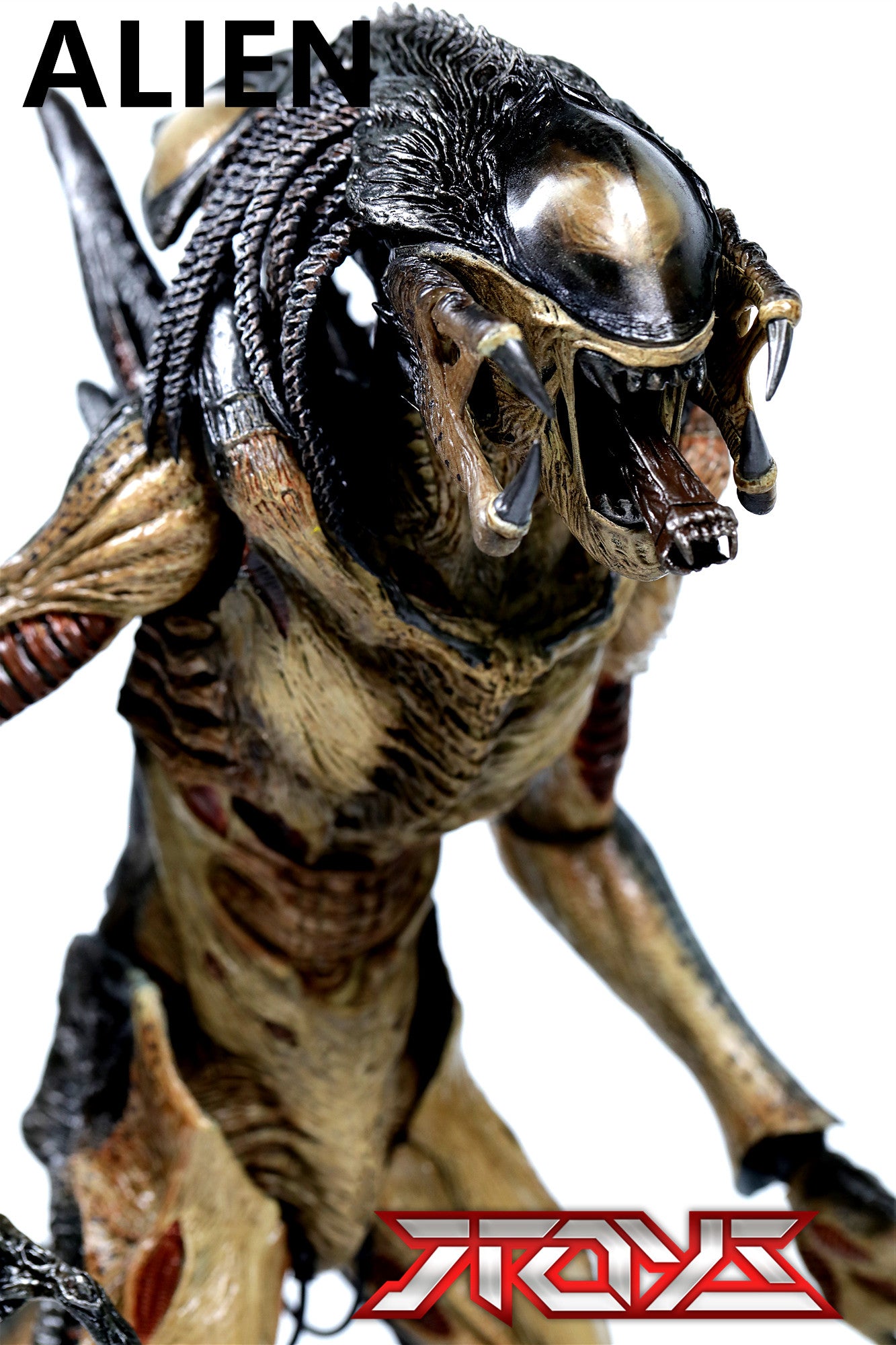 HT MMS055 AVP2 1/6 hybrid alien iron-blooded alien movable figure