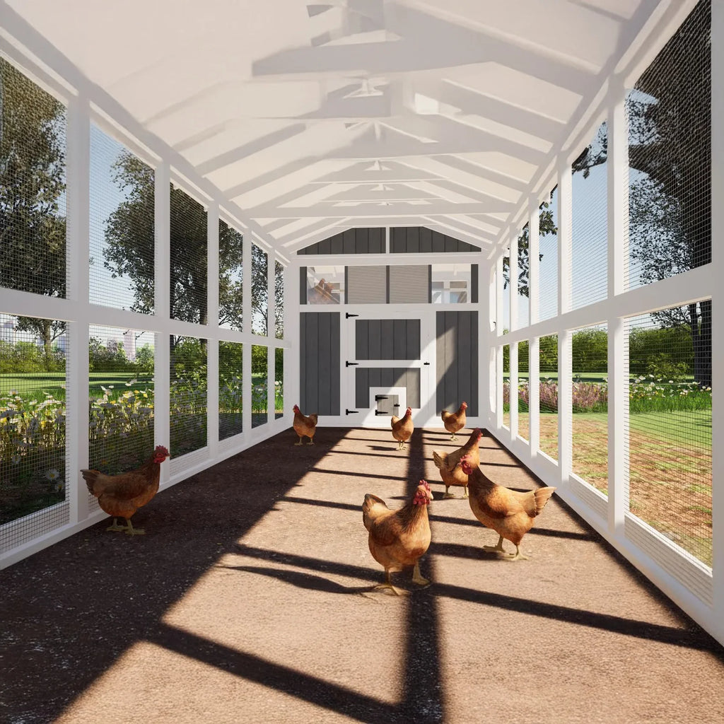 8x32 große Hühnerstallpläne mit 24 Fuß Auslauf – DIY Hühnerstall für 24 Hühner (gedruckte Pläne)