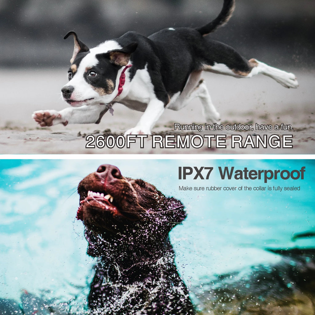 2 in 1 dog shock collar with 800m, rechargeable waterproof remote control electric dog training collar bark stop