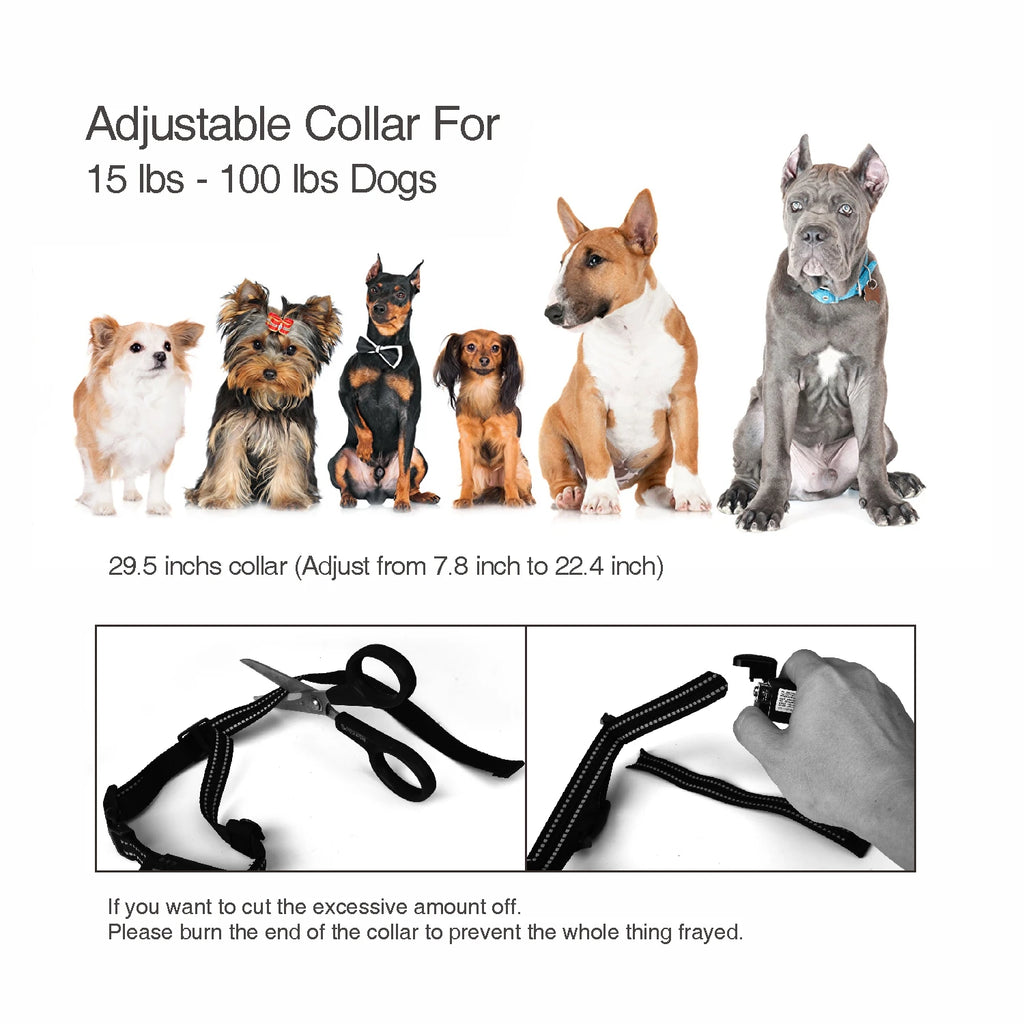 2 in 1 dog shock collar with 800m, rechargeable waterproof remote control electric dog training collar bark stop