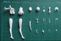 Resin Figure Kit  Zara swimsuit Azur Lane Unpainted Garage Resin Kit Model GK