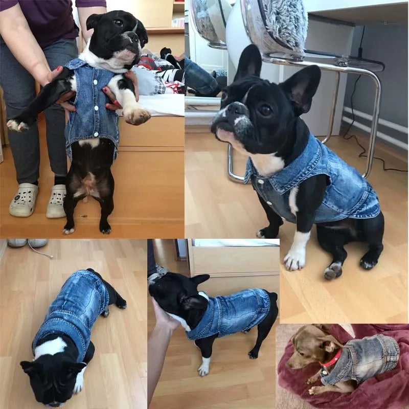 Denim-Hundekleidung für Pitbulls, modische Jeansjacke für Hunde, blaues Cowboy-T-Shirt für Shih Tzu, coole Kleidung für kleine Hunde