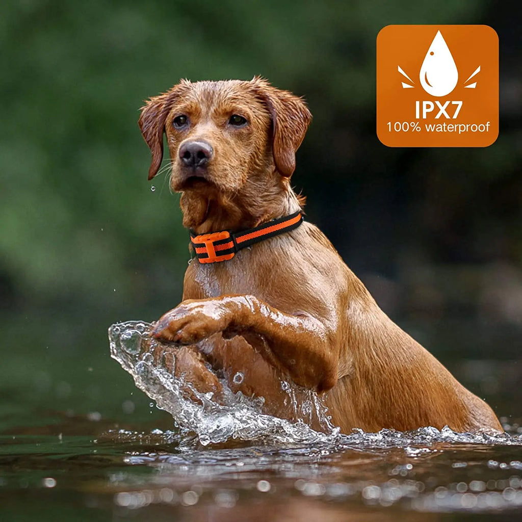 Hundetrainingshalsband, wasserdicht, wiederaufladbar, Schockhalsbänder für Hunde mit Ferntraining, Piepton, Vibrationsschock, elektrisches Hundehalsband