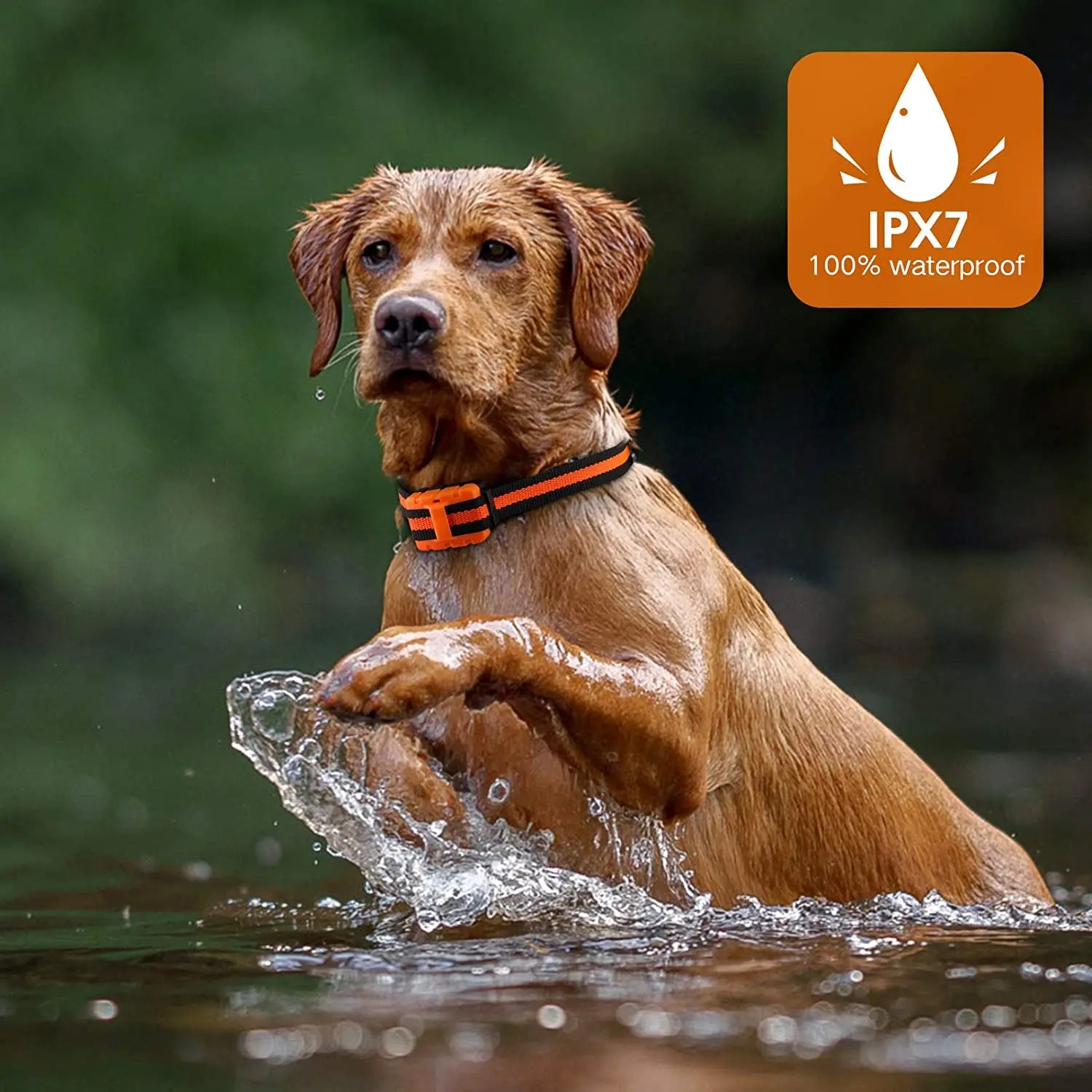 Hundetrainingshalsband, wasserdicht, wiederaufladbar, Schockhalsbänder für Hunde mit Ferntraining, Piepton, Vibrationsschock, elektrisches Hundehalsband