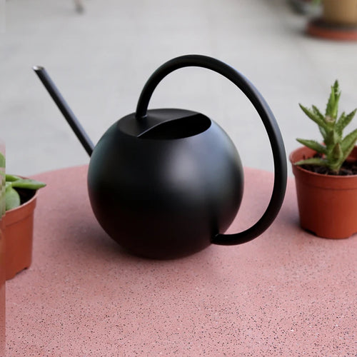 1 L/35 OZ Gießkanne mit langem Auslauf, Edelstahl, Blumenpflanzen, Beregnungswerkzeuge zum Bewässern von Bonsai, Sukkulenten