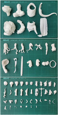 Resin Figure Kit CP Girl 20th Anniversary 2020 Asanagi Cerberus Project Felhunter Unpainted Garage Resin Model Kit