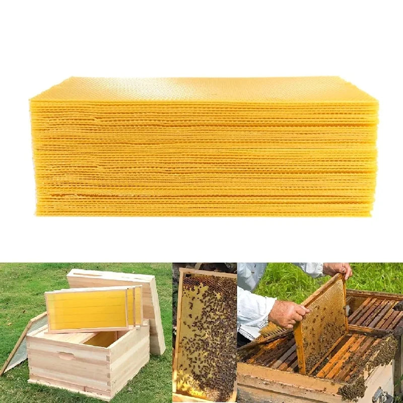 30 Pcs Deep Beeswax Foundation Sheets for Beekeeping Frames - 41.5x19.5 cm Honey Bee Hive Tools