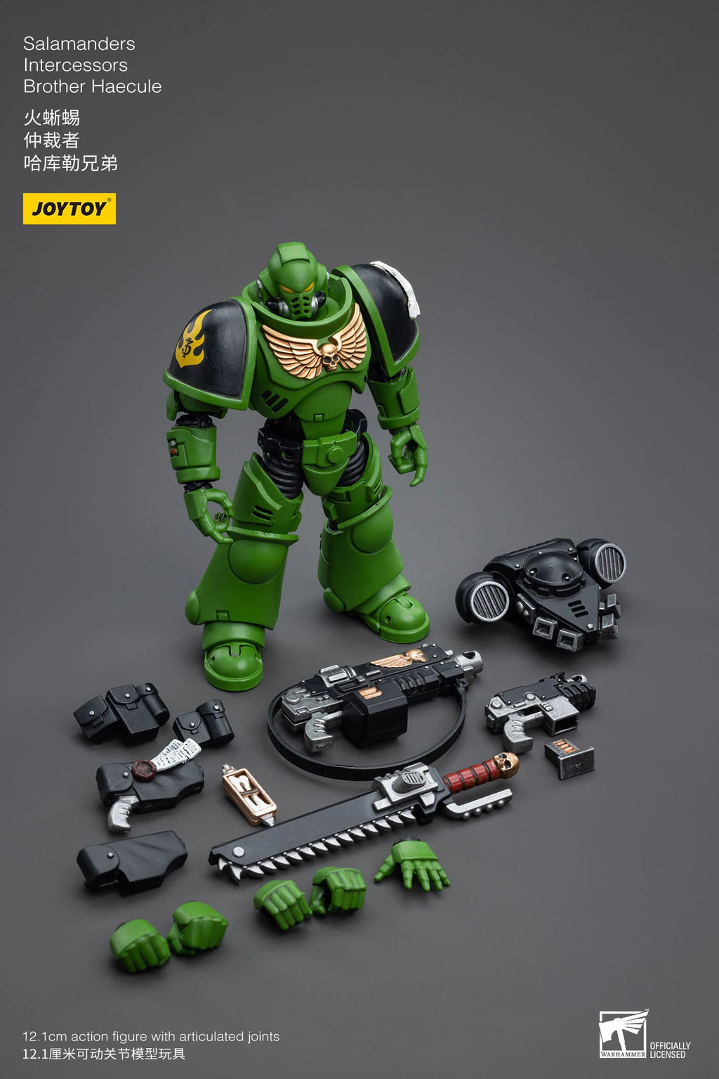 JOYTOY 40K 1/18 Salamanders Intercessors Sergeant Krajax Tsek'gan Brother Haecule Tol'vak Action Figures Model Gift for Collect