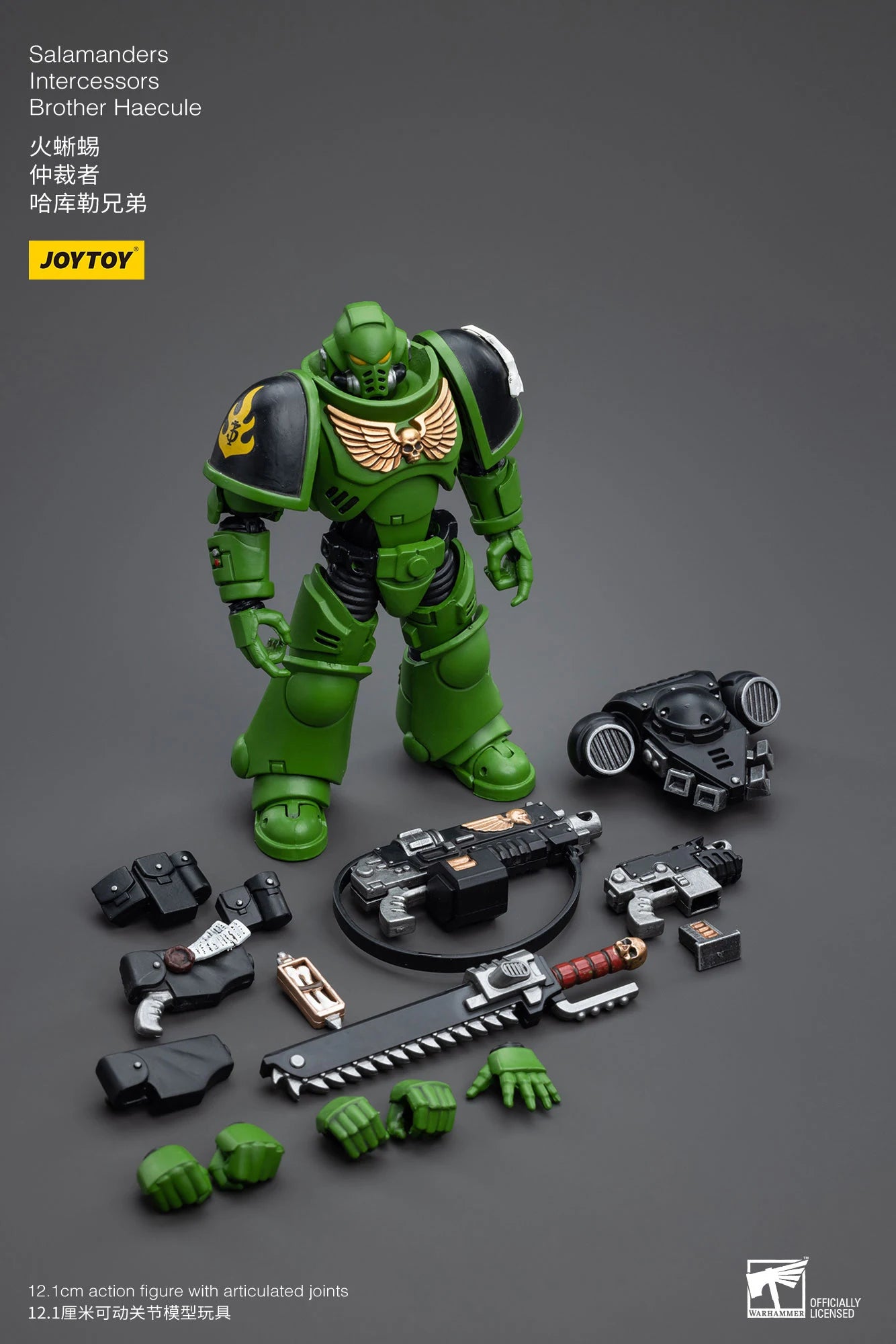 JOYTOY 40K 1/18 Salamanders Intercessors Sergeant Krajax Tsek'gan Brother Haecule Tol'vak Action Figures Model Gift for Collect