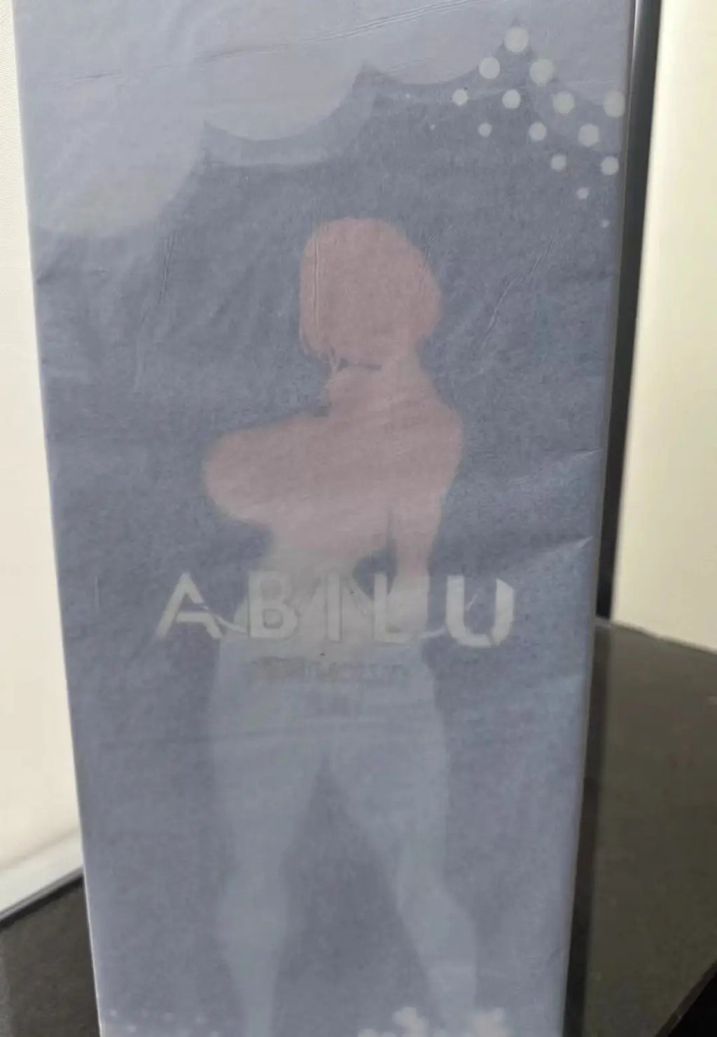 +In Stock Original ABILU Dressing Time Iris Competitive Swimwear 42cm 2026 NEW Anime Figure 1/4 Model Doll