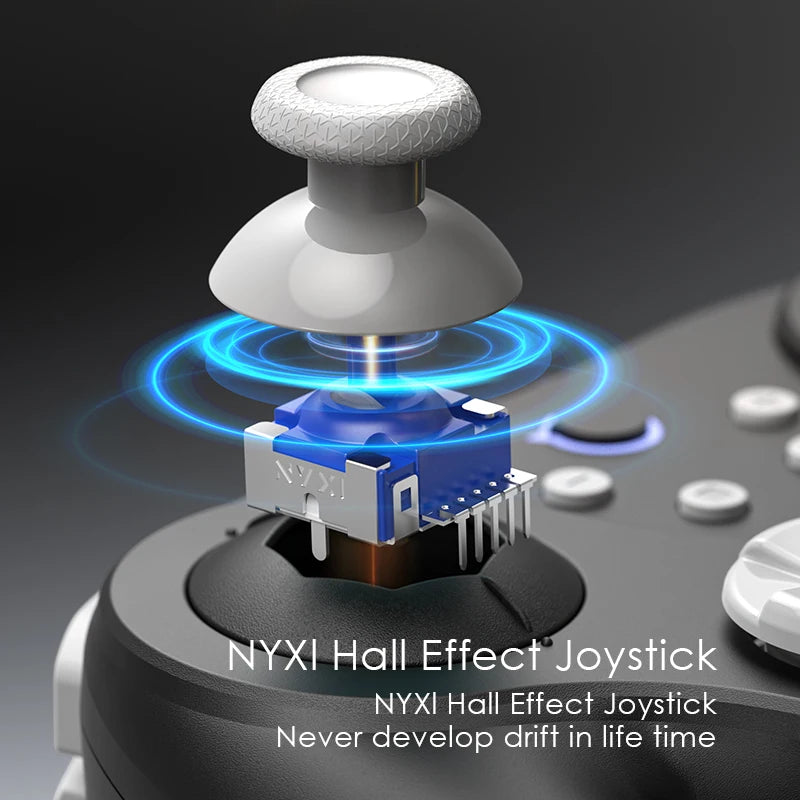 NYXI Warrior Black Wireless Bluetooth Game Controller Gamepad for Gamecube Wii Switch2 Switch OLED Switch Lite PC
