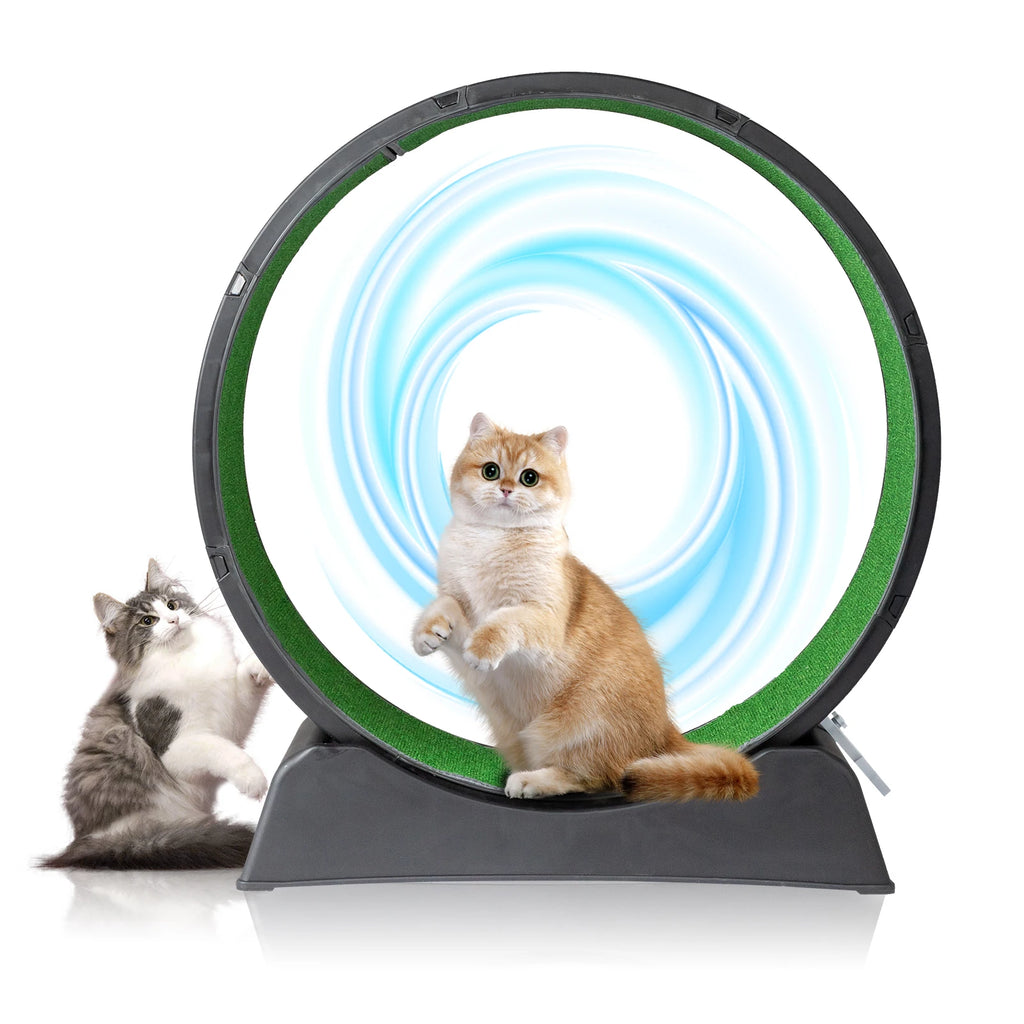 39-inch Indoor Cat Exercise Wheel Treadmill Cat Wheel Exerciser With Carpeted Runway