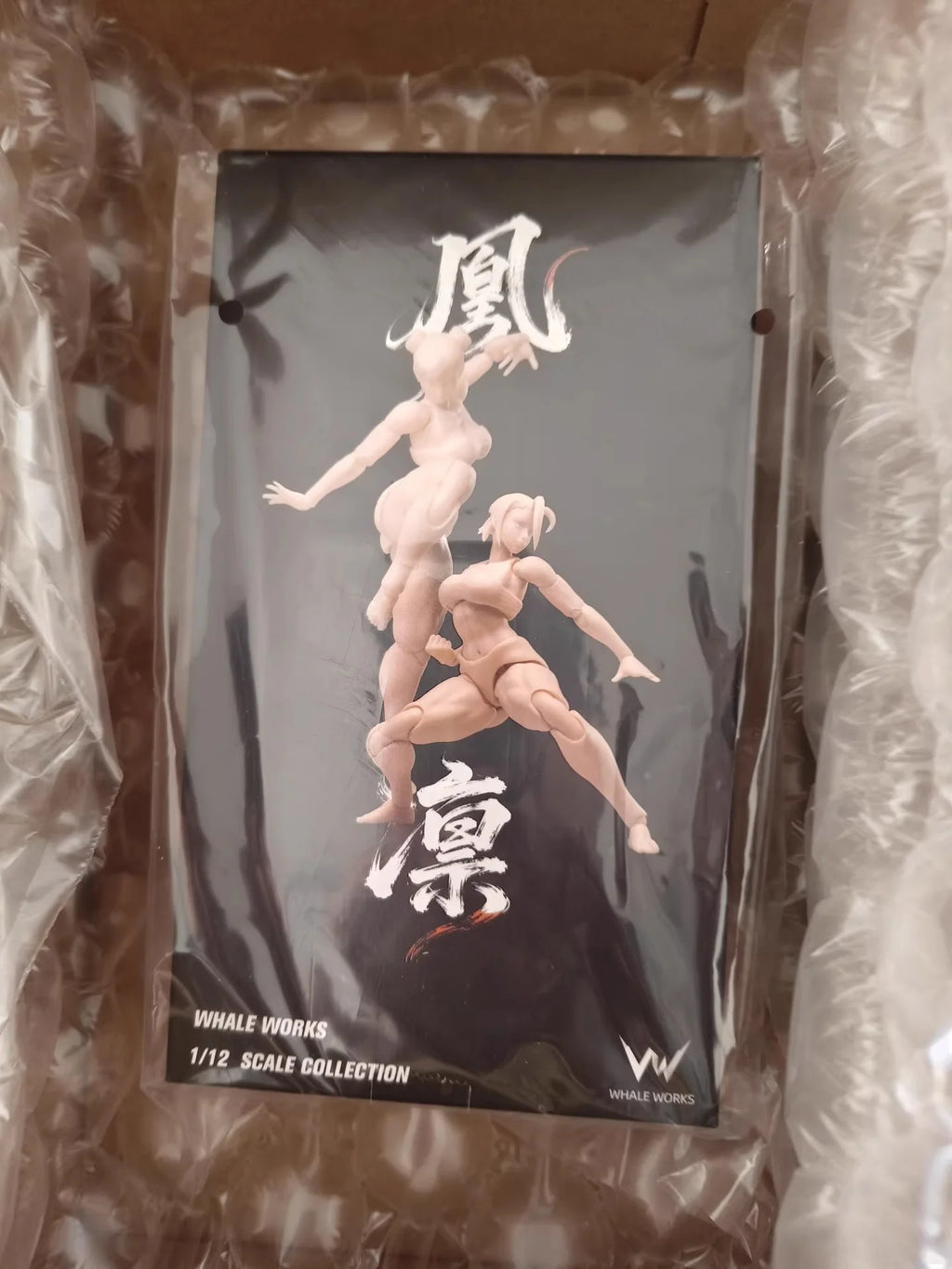 In Stock WHALE WORKS WW01/02 ARIA RIN FEMALE BODY Movable Model Toys 1/12 Super Articulated Cammy White Chun Li