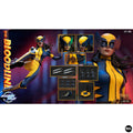 Pre-Order SOOSOOTOYS SST-086 Female Wolverine Wolf Girl 1/6 Scale Action Figure Military Figure Anime Model Trendy Toys  Doll