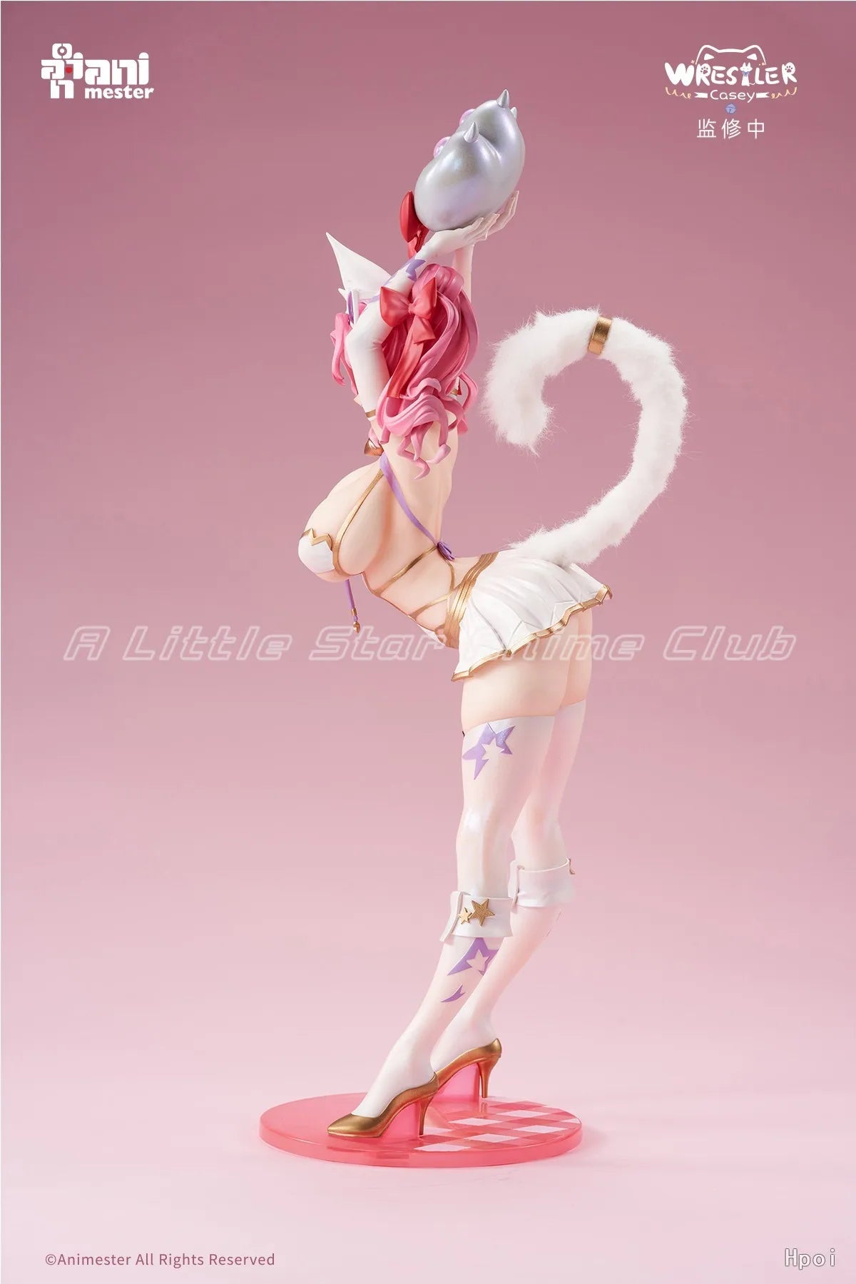 Original AniMester Merry Meow Wrestler Casey 1/6 Scale Toys Figures