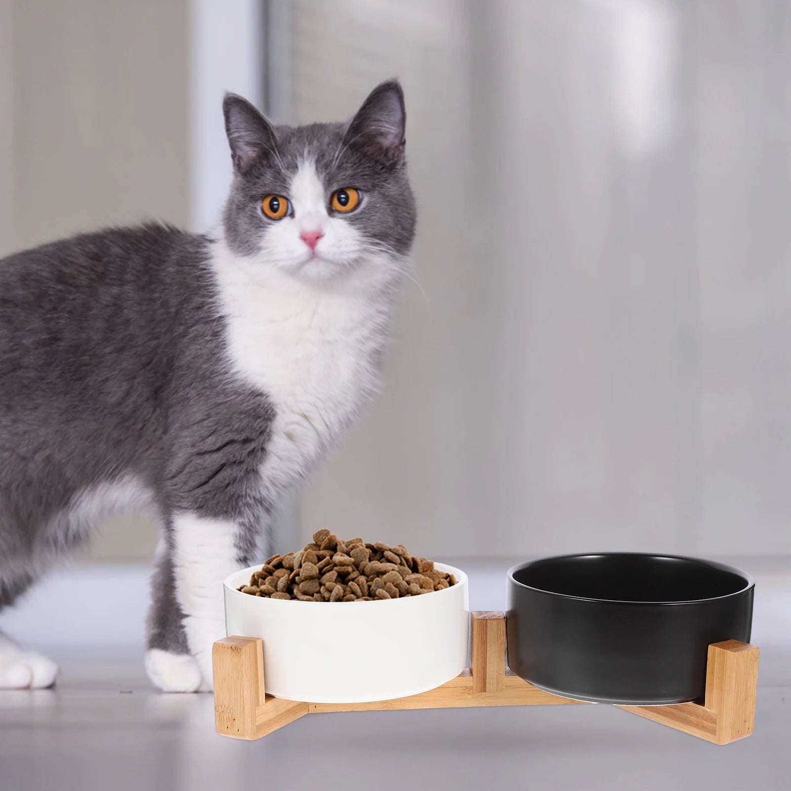 1 Set Ceramic Dog Cat Wood Stand Nonslip Pet Feeding Water Bowl Anti-Slip Food Container Durable Wear-Resistant