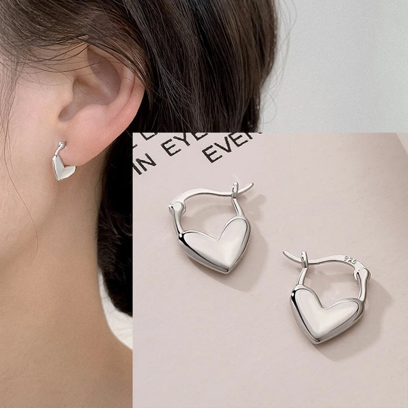 VENTFILLE 925 Sterling Silver Chunky Hoop Earrings for Women Geometric Circle Punk Ear Jewelry Party Gifts 2023 New Dropshipping