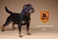 Mr.Z 1/6 Simulation Animal Dog German Rottweiler Dog Model Toy Gift Model F 12" Action Figure Scene Car Decoration Ornament Show