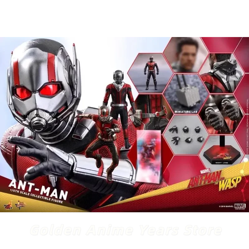 【In Stock】Hot Toys MMS497 1/6 Ant-Man and The Wasp Antman 12 Inch Action Figure Collection Gift&Collection