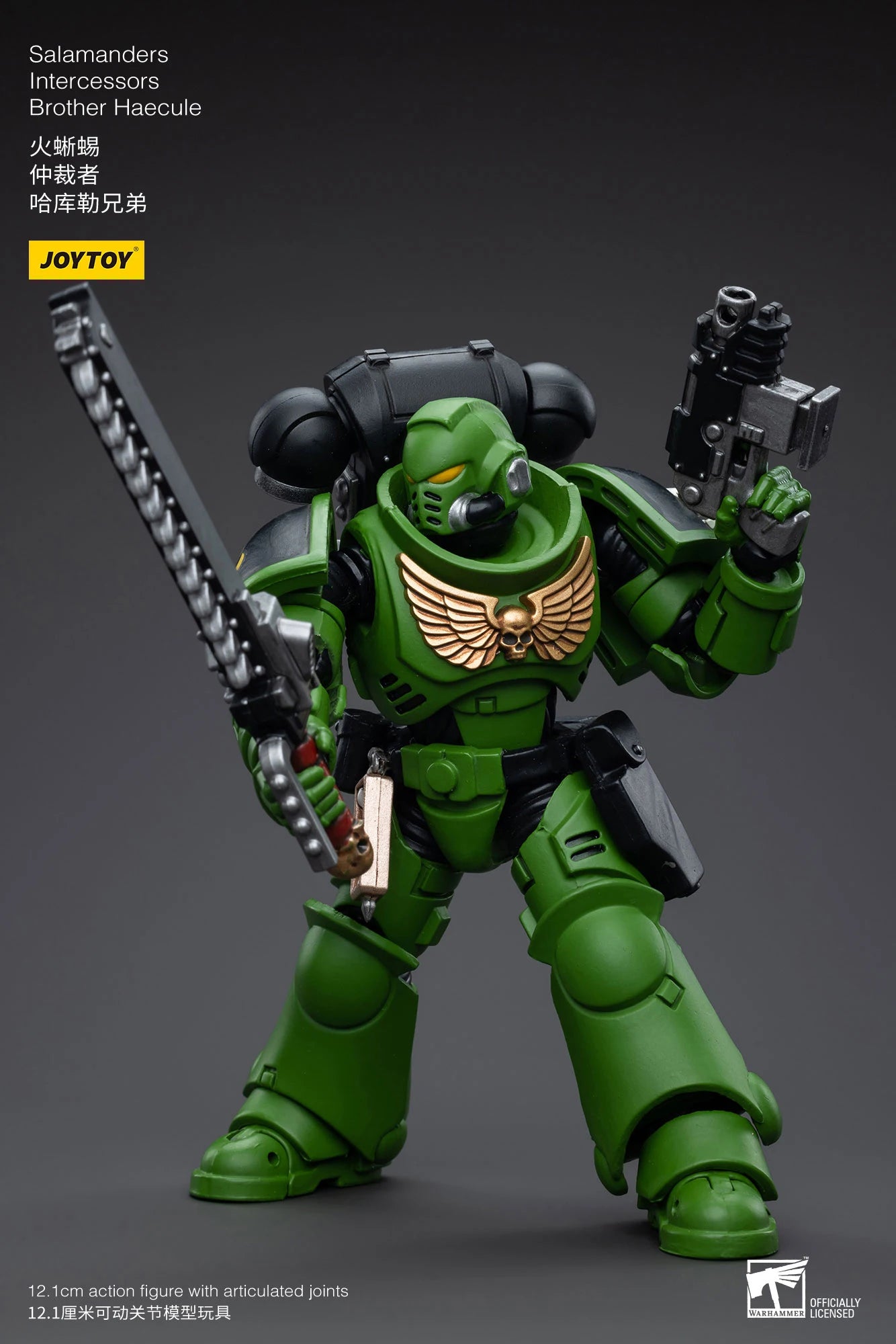 JOYTOY 40K 1/18 Salamanders Intercessors Sergeant Krajax Tsek'gan Brother Haecule Tol'vak Action Figures Model Gift for Collect