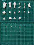 Resin Figure Kit Taimanin 1/7 Sakura Igawa Ver.2 Unpainted Garage Resin Kit Model GK