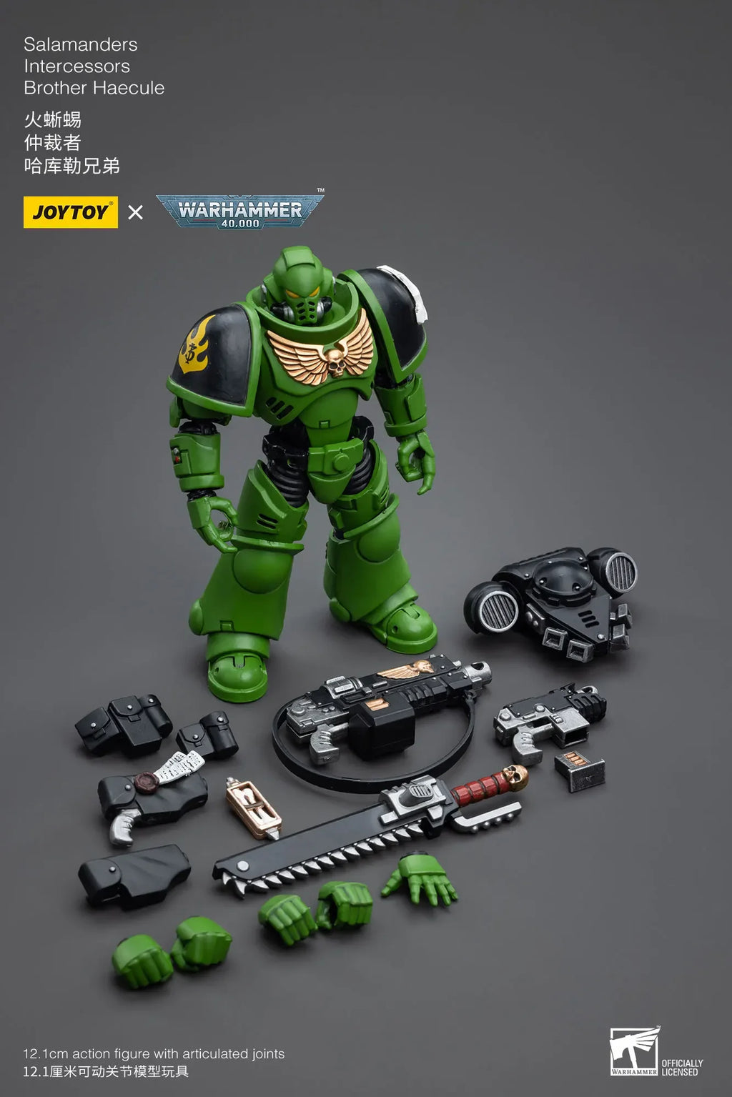 JOYTOY Warhammer 40K 1/18 Salamanders Intercessors Brother Haecule Sergeant Tsek'gan 12.1cm Soldier Action Figure Model Toy Gift