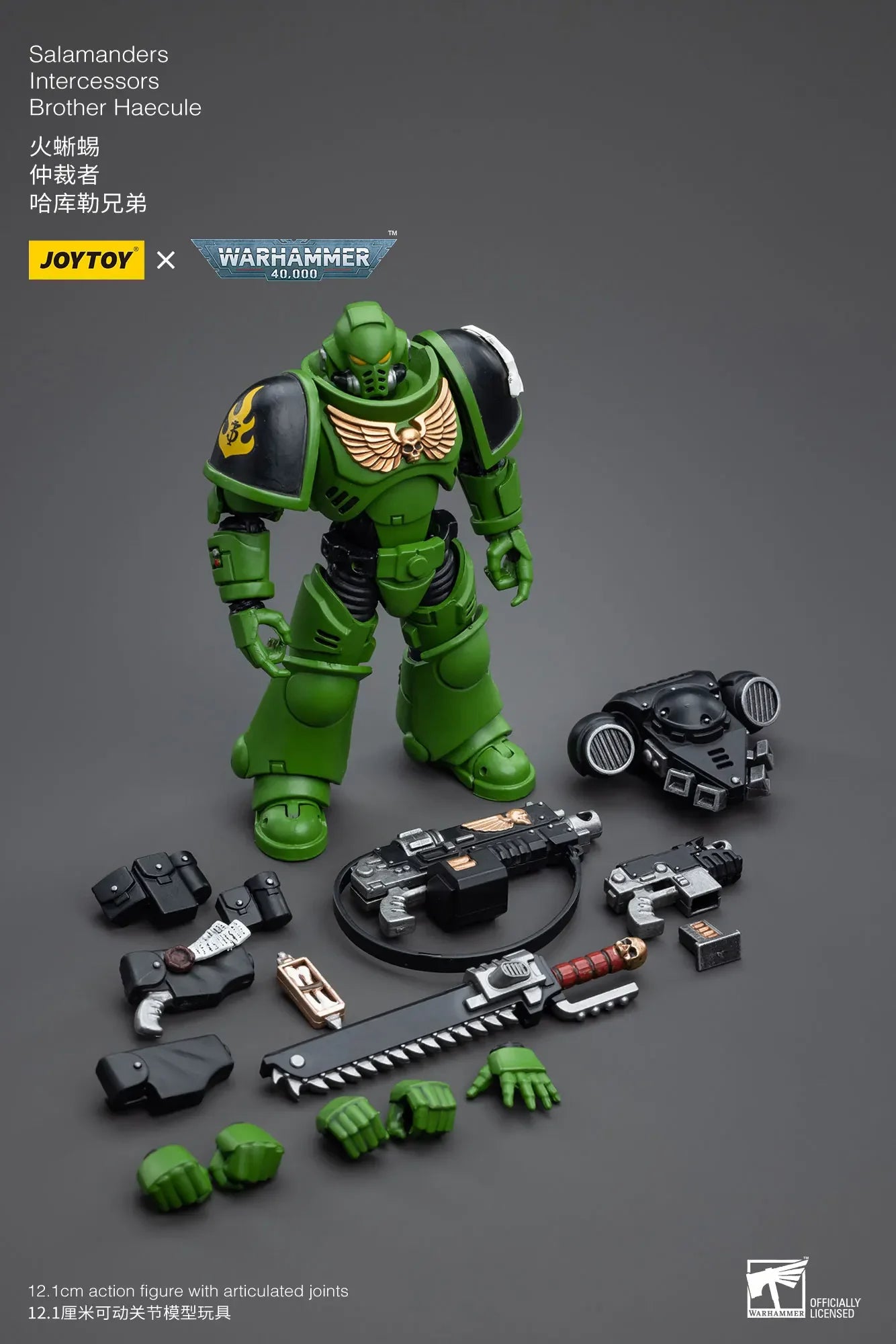JOYTOY Warhammer 40K 1/18 Salamanders Intercessors Brother Haecule Sergeant Tsek'gan 12.1cm Soldier Action Figure Model Toy Gift