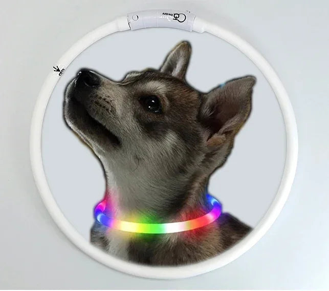 3 Modes Dog Luminou Charge Collar Led Usb Cat Silicone Colorful Collar Detachable Night Glow Pet Loss Prevention Dog Accessories