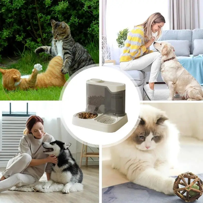 Automatic Fish Feeder Food And Water Dispenser For Pets Splash-proof 2-in-1 Feeding Dispenser For Travel Multi-pet Households