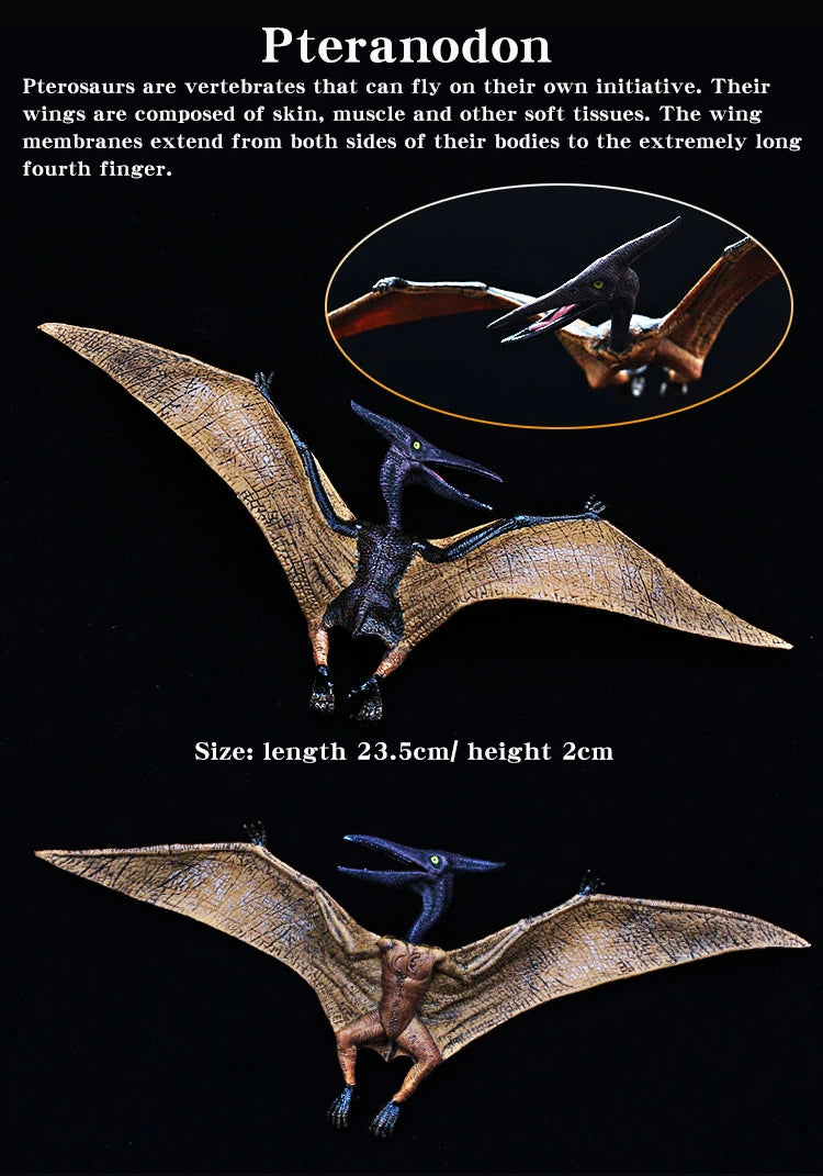 Jurassic Simulation Dinosaur Toy Pterodactyl Pteranodon Haztergo Pterosaur Model Action Figure Animal Collection for Kids Gift