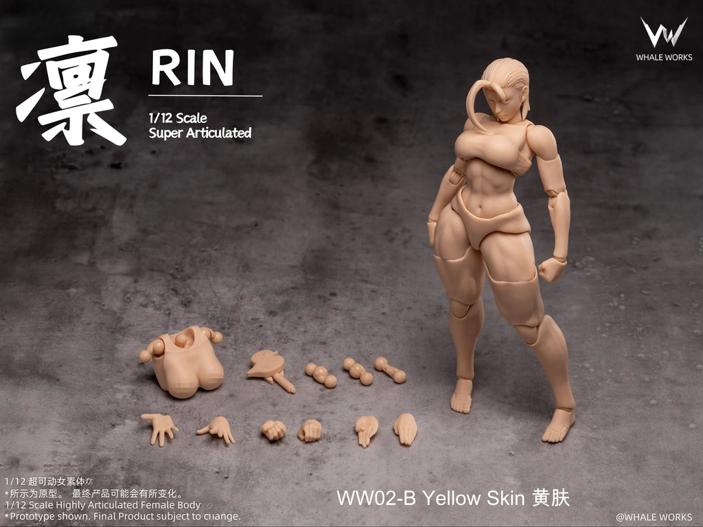 In Stock WHALE WORKS WW01/02 ARIA RIN FEMALE BODY Movable Model Toys 1/12 Super Articulated Cammy White Chun Li