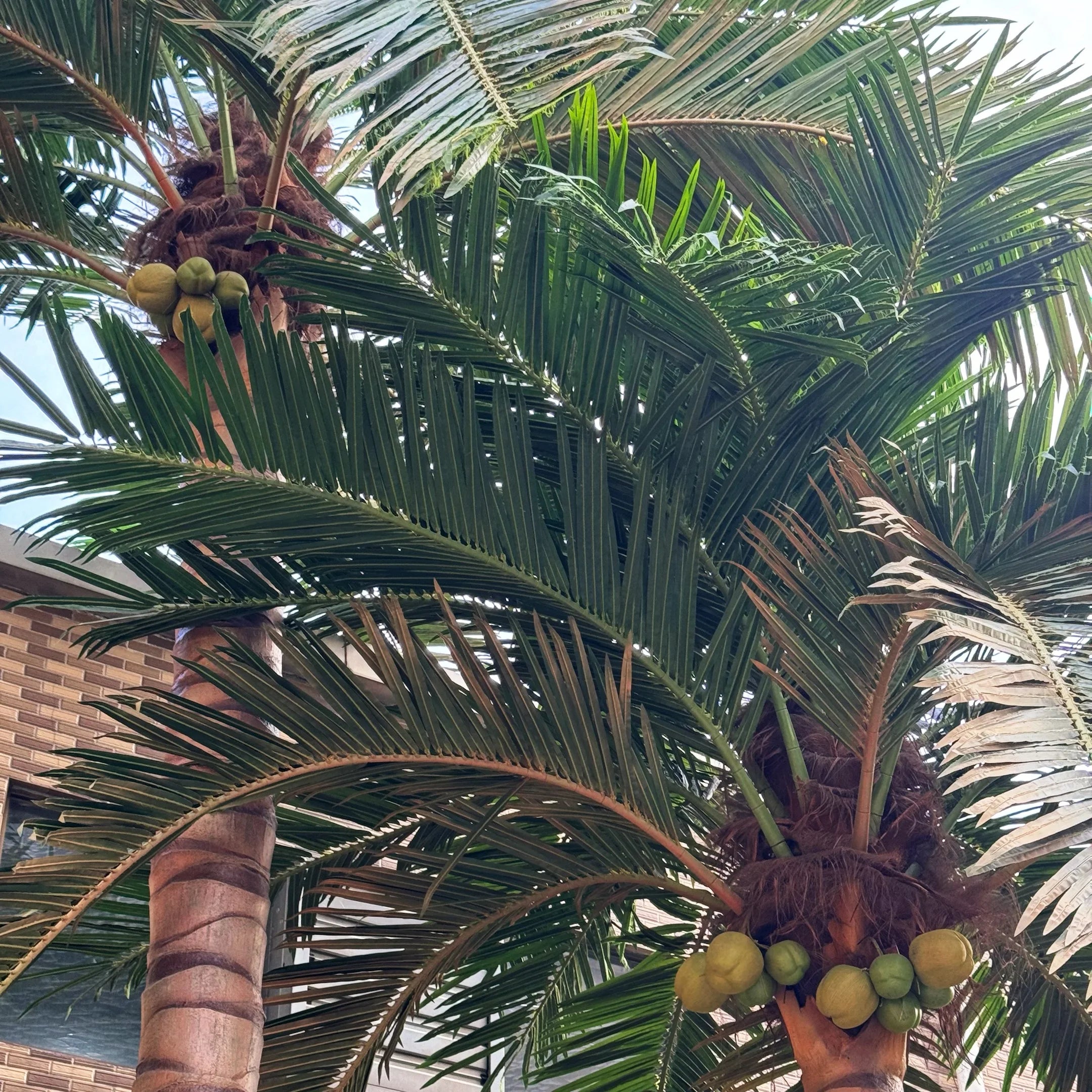 Big Faked Leaves Plants Outdoor Large Coconut Artificial Palm Trees for Home Garden Coastal Decor